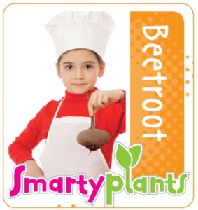 Beetroot_Low res
