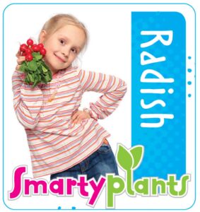 Radish_Low res