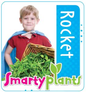 Rocket_Low res