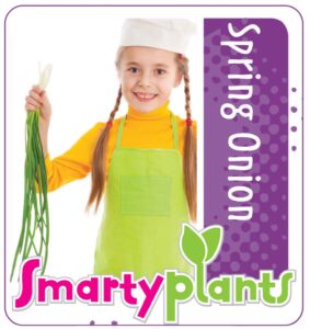 Spring onions_low res