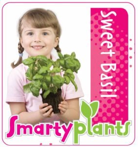 Sweet Basil_Low res