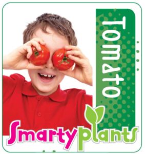 Tomato_Low res