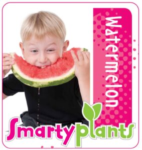 Watermelon_Low res